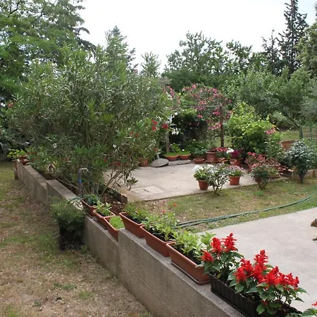 דירה With A Parking Space Nerezine, Losinj - 7961 *